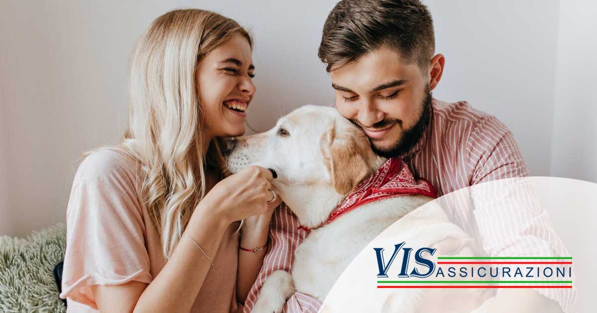 Offerte imperdibili per la tua polizza cani & gatti